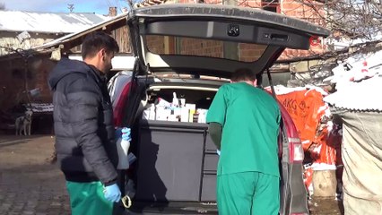 Prematüre Buzağı “Kubilay”I Ölmesin Diye Evinde Besliyor