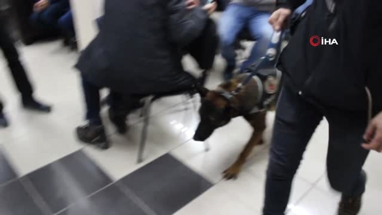 Narkotik Dedektör Köpeği "Odin" Çocukların İlgi Odağı Oldu