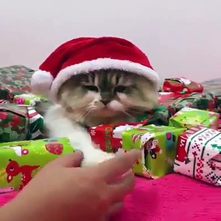 Mutlu Yıllar, Feliz Ano Novo , Feliz Año Nuevo , Happy New Year, Gutes Neues Jahr , Bonne Année , Felice Anno Nuovo , Un an nou fericit ,