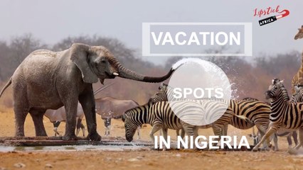 Top 10 Cool Family Vacation Spots In Nigeria