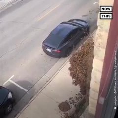 Tesla Owner Uses Autopilot to Avoid Parking Tickets