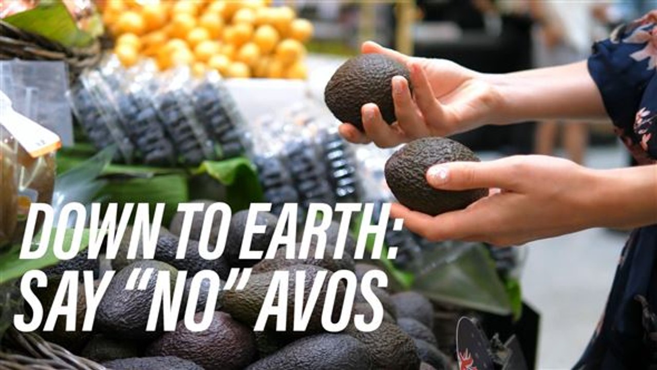 Avocado? ...More like avocadon't!