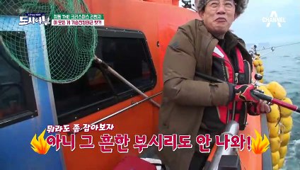 기승전결을 파괴한 8짜 킹태곤, 도시어부들의 질투 폭발! (실성 경규 등판)