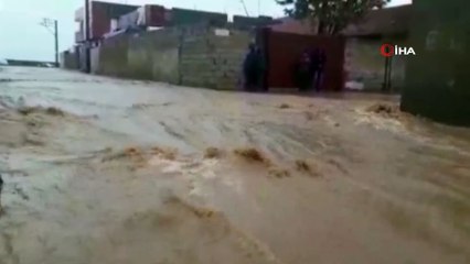 Şiddetli yağış sele neden oldu