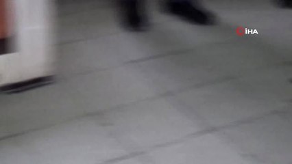 Motor Arasından Kurtarılmıştı, O Kedi İtfaiyenin Maskotu Oldu