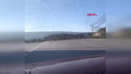 Çanakkale Yola İnen Sığırcıklar Sürücülere Zor Anlar Yaşattı