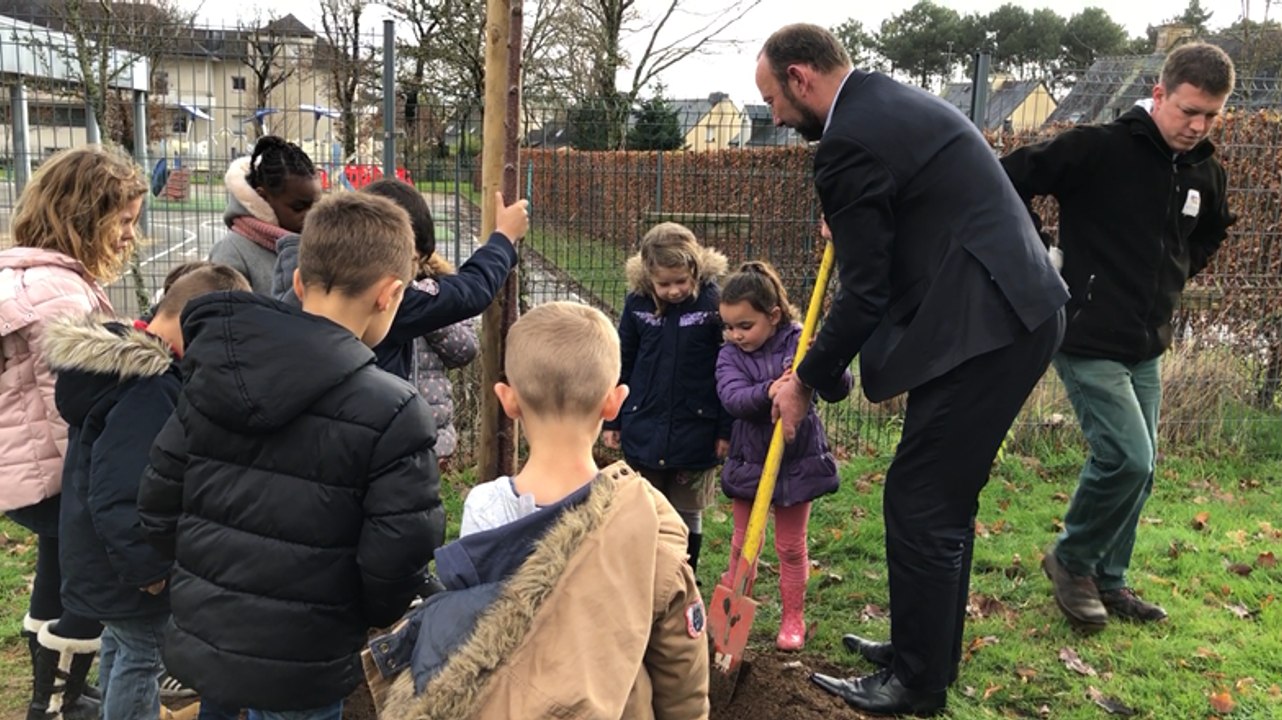 Des arbres fruitiers sur le chemin de l’école