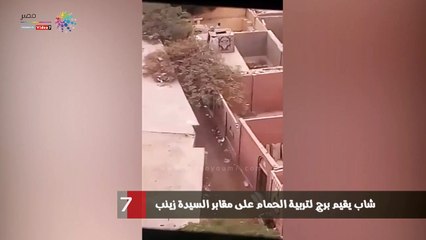 شاهد.. شاب يقيم برج لتربية الحمام على مقابر السيدة زينب