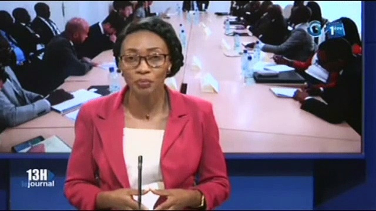 RTG - Le Ministre de la communication et de l’économie numérique échange avec une délégation Coréenne
