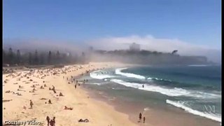 Rare Midday Fog Hangs Over Sydney Beaches