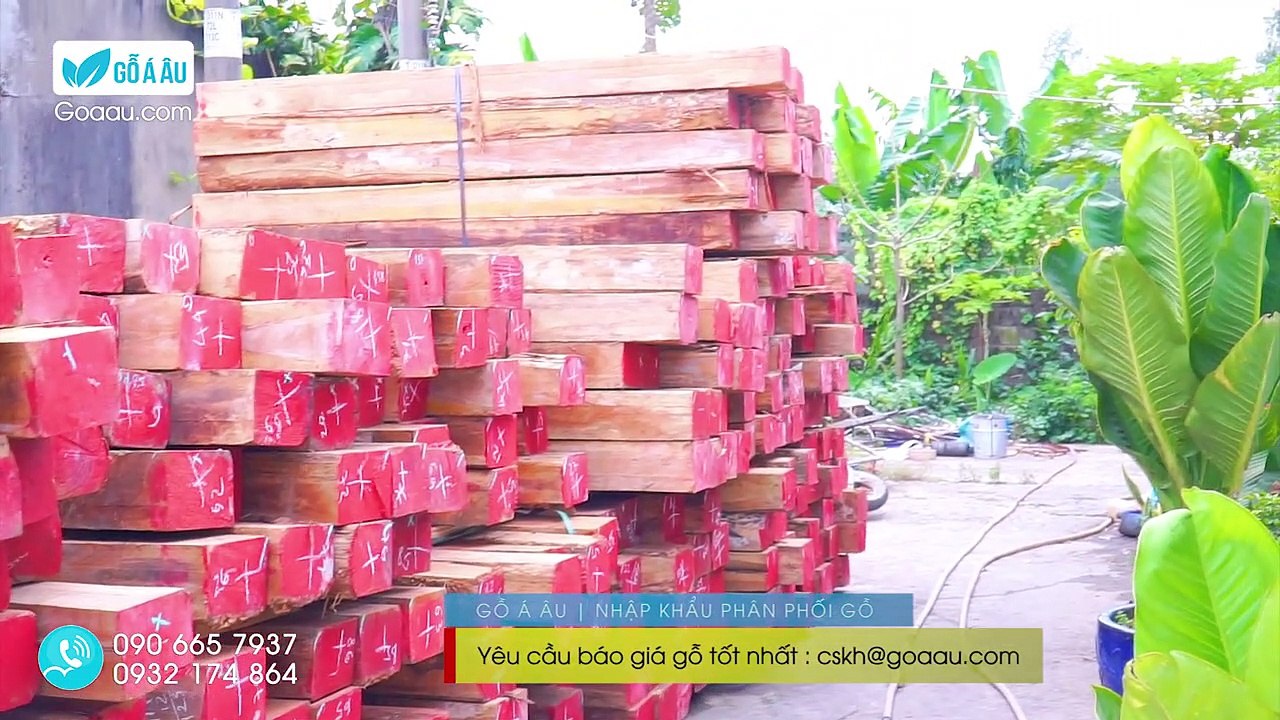 GỖ TEAK - GỖ BÁNG SÚNG - GỖ XẺ SẤY - GOAAU.COM