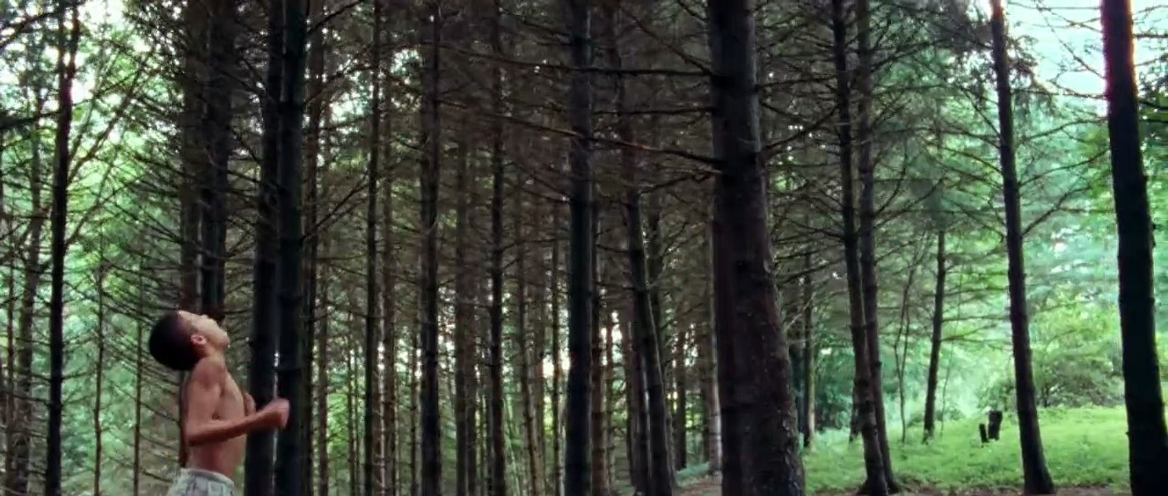 'We the Animals' - Trailer