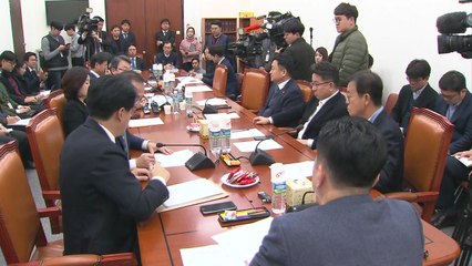 정치개혁 특위, 연동형 비례대표제 놓고 줄다리기 / YTN