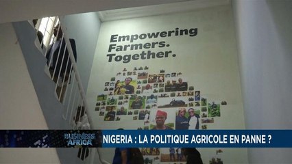 Nigeria: agricultural policy broken down?