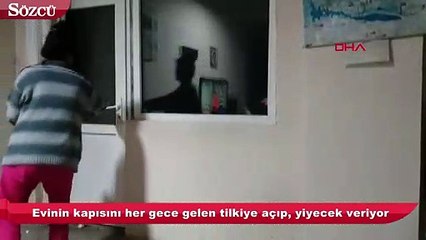 Evinin kapısını her gece gelen tilkiye açıp, yiyecek veriyor
