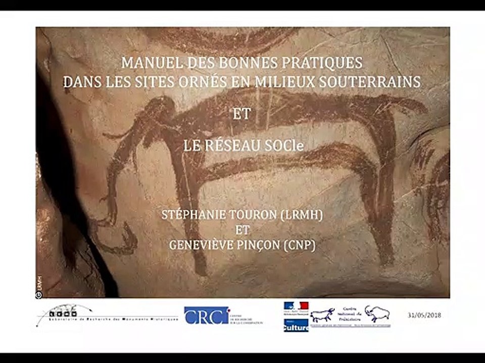 02. Manuel des bonnes pratiques dans les sites ornés en milieux souterrains et le réseau SOCle