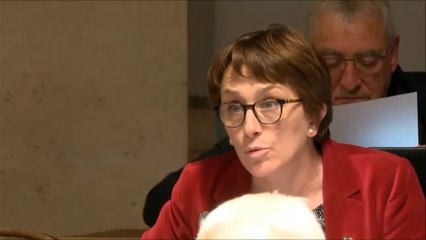 Céline TONOT - Amendement pour la création d'un Fonds de soutien à la rénovation énergétique des EHPAD