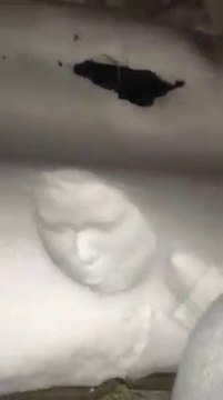 Le nouveau jeu de cet hiver : mettez votre visage dans la neige fraiche !