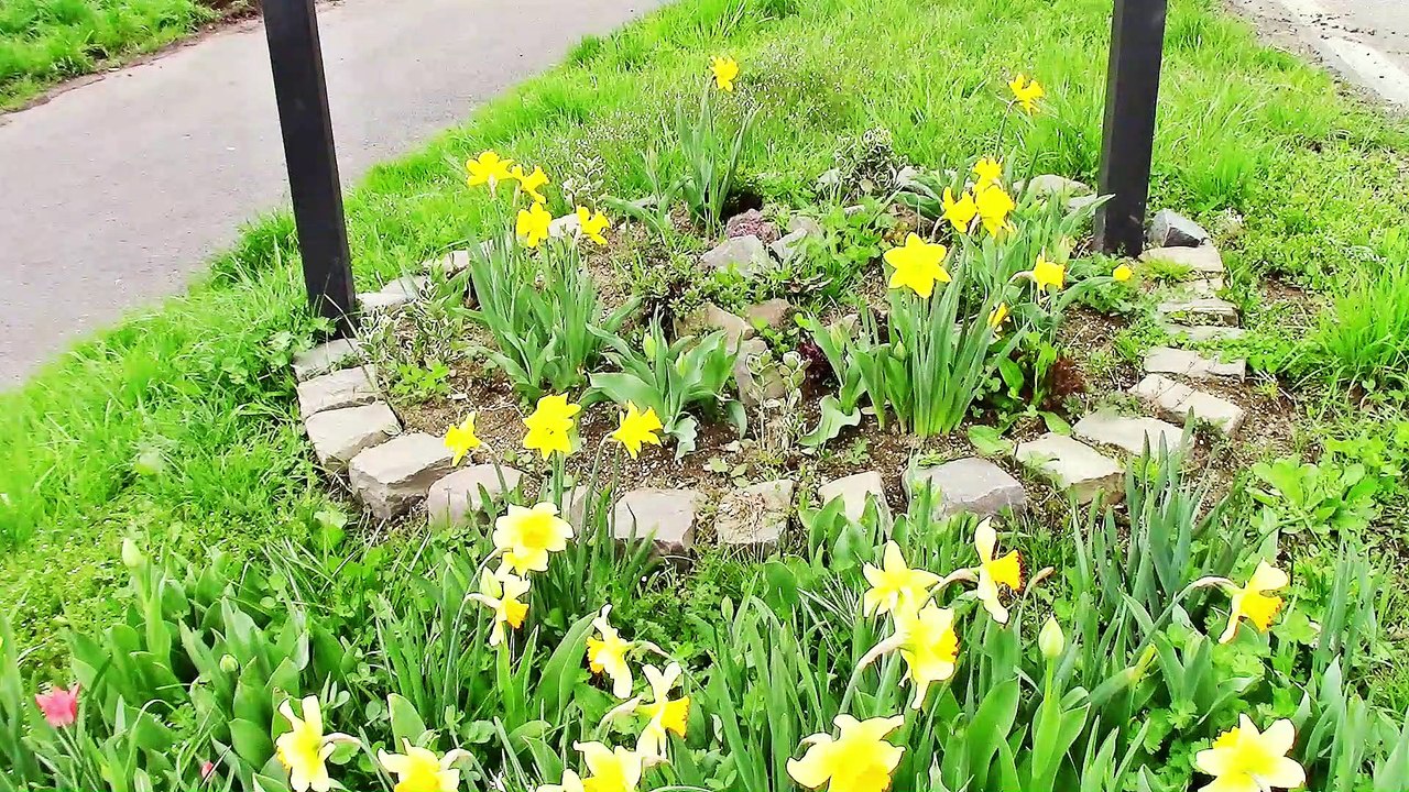 Zu Besuch in Miesenheim