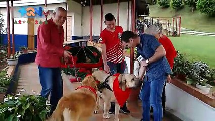 mqn-santa-cambio-los-renos-por-perros-201218