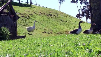 Isla Paraiso Capitulo 57