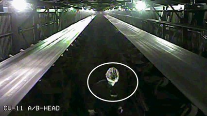 위험한 설비에 몸을 넣고 또 넣고...故 김용균 씨 마지막 모습 / YTN