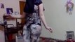 HOMEMADE Beautiful Hot Arabic Belly Dance New HD