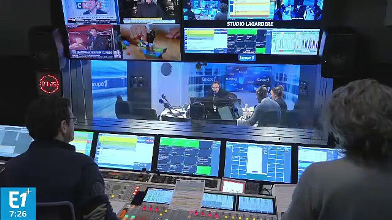 Des sapins qui s’illuminent de façon naturelle sans électricité