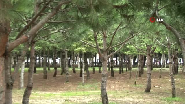 Vehbi Orakçı: Beylikdüzü'nü Daha da İleri Taşımaya Kaldığımız Yerden Devam Edeceğiz