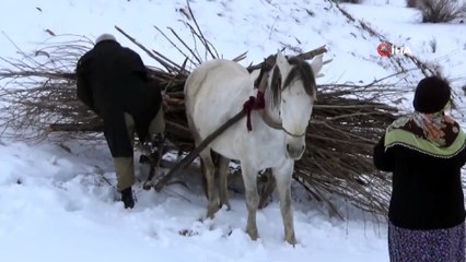 Dağ ve Dereden Topladıkları Odunları Kızak Yardımıyla Taşıyorlar
