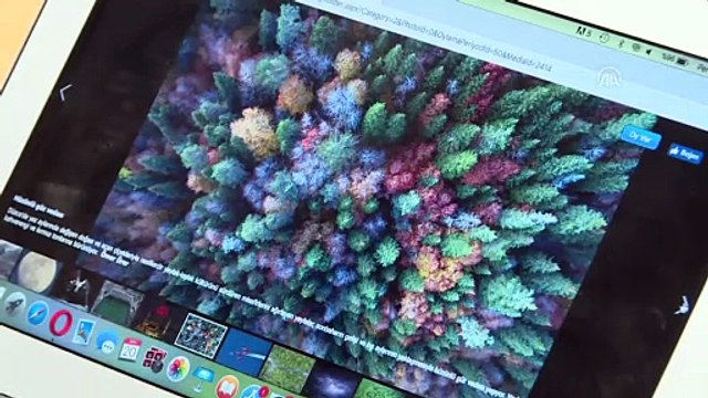 Mustafa Cengiz, AA'nın 'Yılın Fotoğrafları' oylamasına katıldı - İSTANBUL