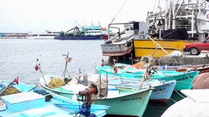 Türkiye'den 20 ülkeye hamsi ihraç edildi - TRABZON