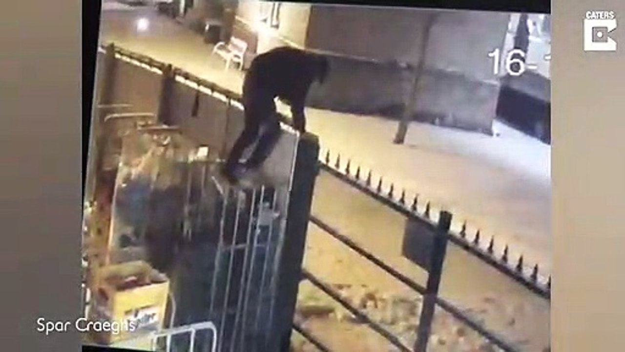 Un voleur de bières reste suspendu au portail...