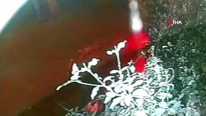 Kadıköy'de bıçakla 11 kişiye saldıran sanığın akıl sağlığı tespit edilecek