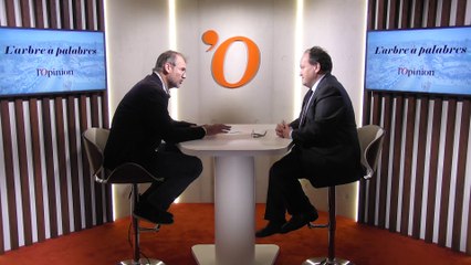 Ambroise Fayolle: «Plus de 60 % de l'activité de la BEI consiste à financer le secteur privé en Afrique»