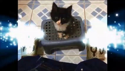 Tạm Biệt Mr. X • Mr. X and I Goodbye Mr. X • Ep. 05