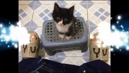 Tạm Biệt Mr. X • Mr. X and I Goodbye Mr. X • Ep. 07