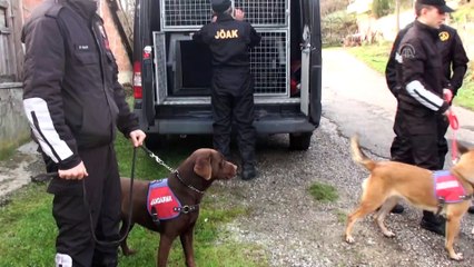 Bartın'da kaybolan kişi için arama çalışmaları yeniden başladı