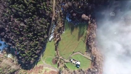 Bolu Dağı'nda sis denizinin görsel şöleni