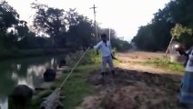 Indian villagers find stray crocodile in their house so they dump it in a canal