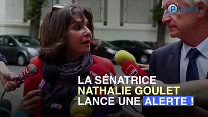 Fraude à la sécurité sociale :  14 milliards d'euros en jeu