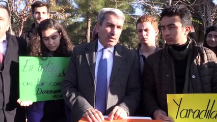 Öğrencilerden sokak hayvanlarına sıcak yuva ve mama - MARDİN