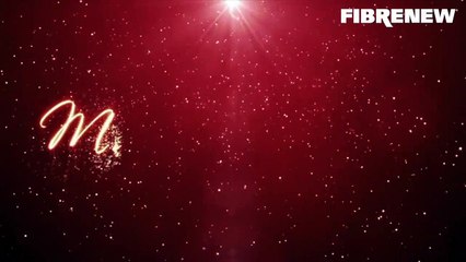 Christmas and Season's Greetings From Fibrenew!