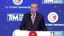 Erdoğan: 'Türkiye, adeta küllerinden yeniden doğmuştur' - İSTANBUL
