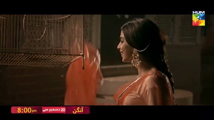Aangan - Promo 1 - HUM TV - Drama