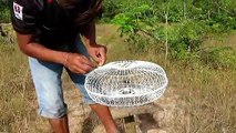 Unbelievable This Trapping New Bird Trapping Technique Using Electric Fan Guard & Chicken Work 100%
