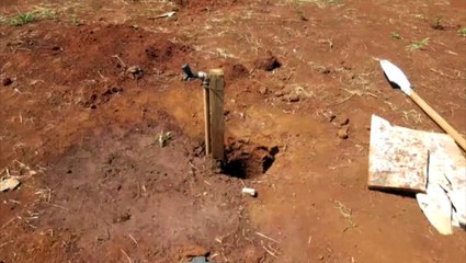 Cachorro é resgatado de buraco na Região Sul da cidade