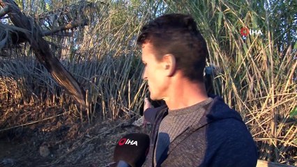 Antalya’da Gizemli Koyun Katliamı