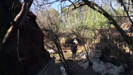 Hayvanları telef olunca çareyi nöbet tutmakta buldu - ANTALYA