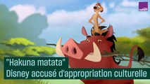 Hakuna matata : Disney accusé d'appropriation culturelle